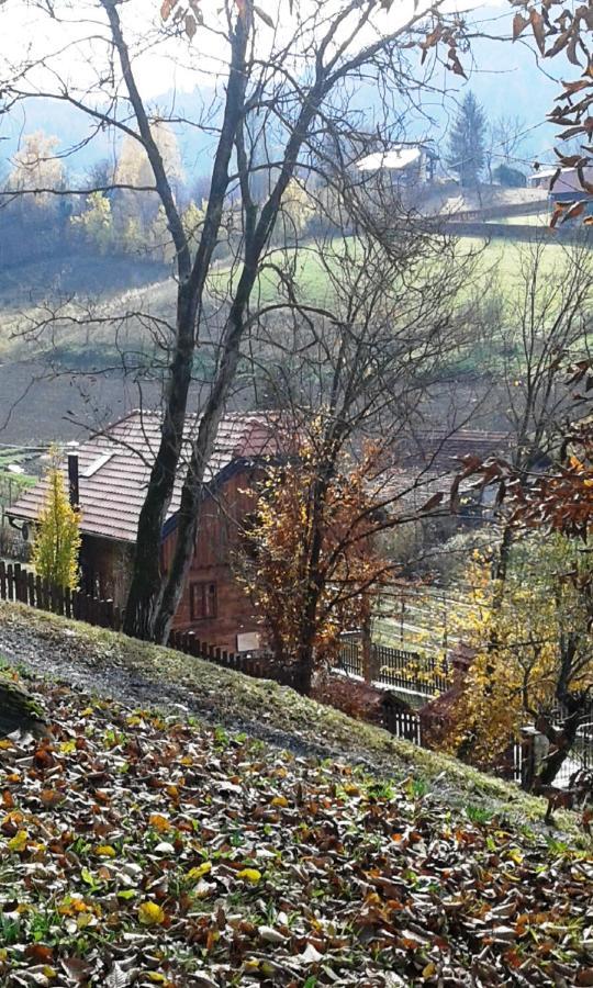 Vila Trnoruzica Tuhelj Exterior photo